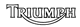 Triumph Decal 1 colour hollow